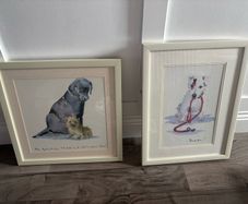 dog pictures