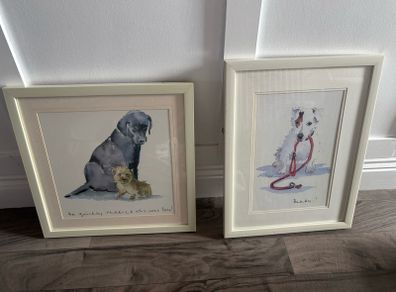 dog pictures