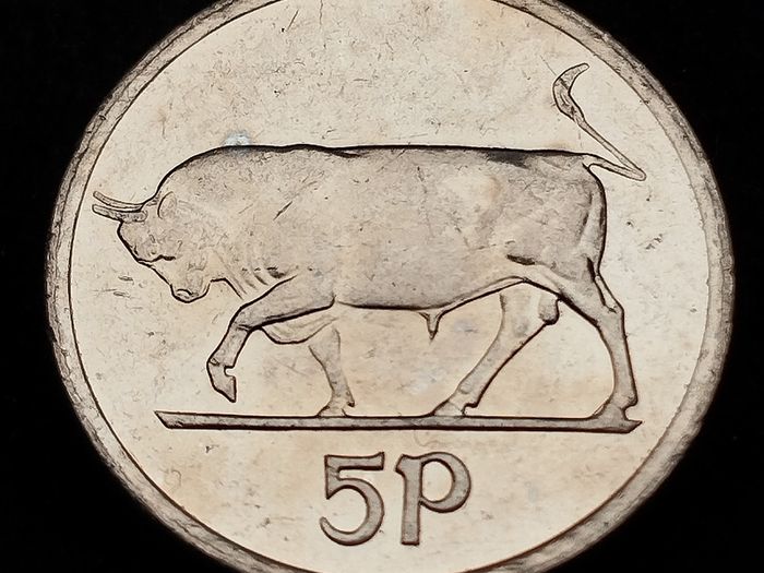 Ireland - 1998 - 5 Pence - Irish 5p - Bull - KM.28 - [2099]