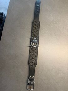 Dog collar