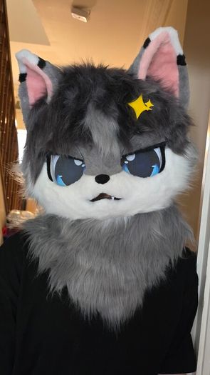 Fursuit Long Fur Husky Fox Mascot Head Party Halloween (Head + Claws)