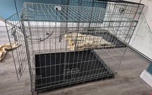Dog Crates