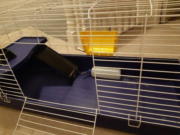 Guinea Pig Cage