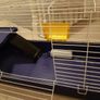 Guinea Pig Cage Image 2