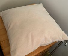 Cushion