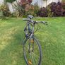 Trek FX1 Hybrid Bike Image 2