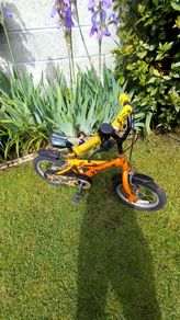 Kids bike