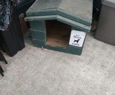 kennel