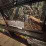 Exoterra Terrarium Image 3