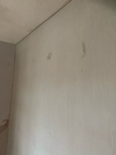Plasterer available