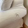 3 seater sofa bed Image 2