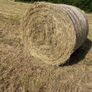 Hay Image 2