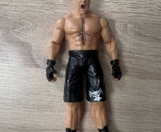 wwe brock Lesnar