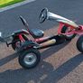 Dino kart 2 seater Go Kart Image 3