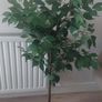 Artificial Tree/Plant Image 4