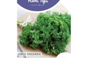 HT Curly Parsley seeds 3g | Sow in July