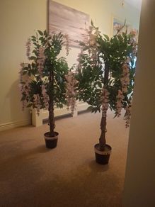 Fake pink trees