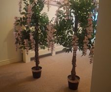Fake pink trees