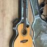 epiphone pr5e Image 7
