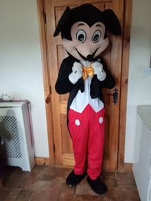 Mascot Costume