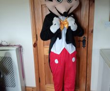 Mascot Costume