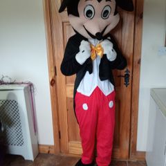 Mascot Costume