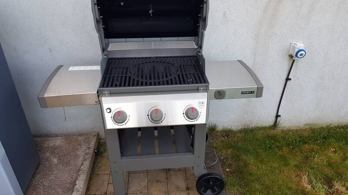 Weber Gas BBQ