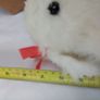 Soft Toy Dog in a Box Image 4
