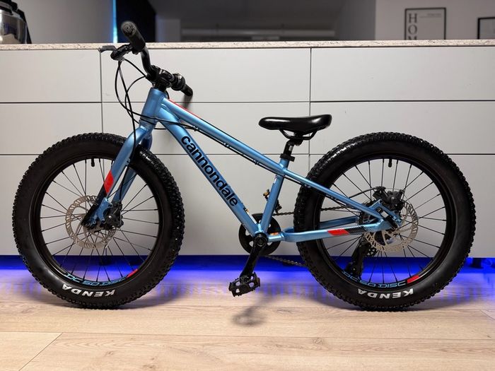 Cannondale Cujo Disc Kids Bike 20 inch
