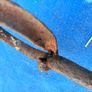 Unusual fire crane hook Image 5