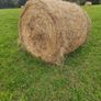 Hay for sale near roadside Image 4