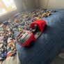 wwe toys Image 2