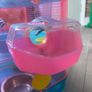 hamster cage Image 2