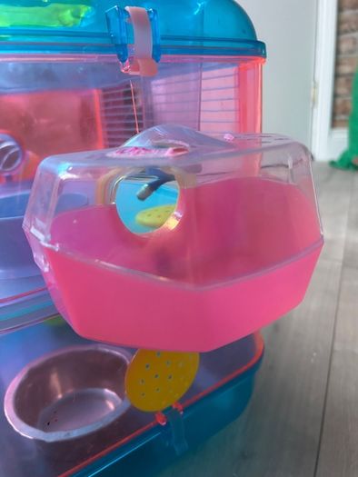 hamster cage