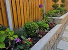 Landscaping services Image 2