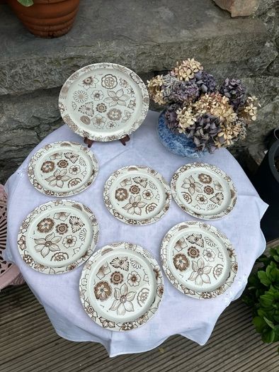 Arklow Pottery Cake/Sandwich Plate and 6 SidePlates