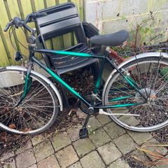 Adult bike