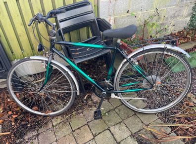 Adult bike