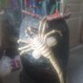 Neca Life-size Alien Egg / Predator Image 8