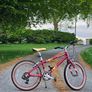 Kids bike Raleigh Pop. Cycle for boys, bike for girls Image 2