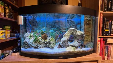 Aquarium Juwel vision 180 curved full set