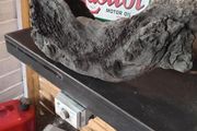 bog oak