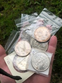 9 x Morgan and Peace Silver Dollars