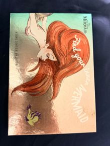 Highlighter Pallet Disney