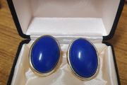 Vintage earrings