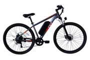 PVY M29 Electric Bike