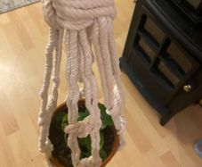 plant hange