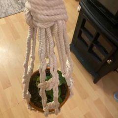 plant hange