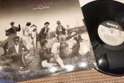 Madness - The Rise &amp; Fall