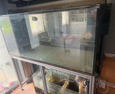 fish tank and sump